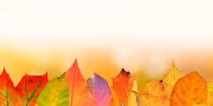 cum alegi un parfum bun pentru toamna