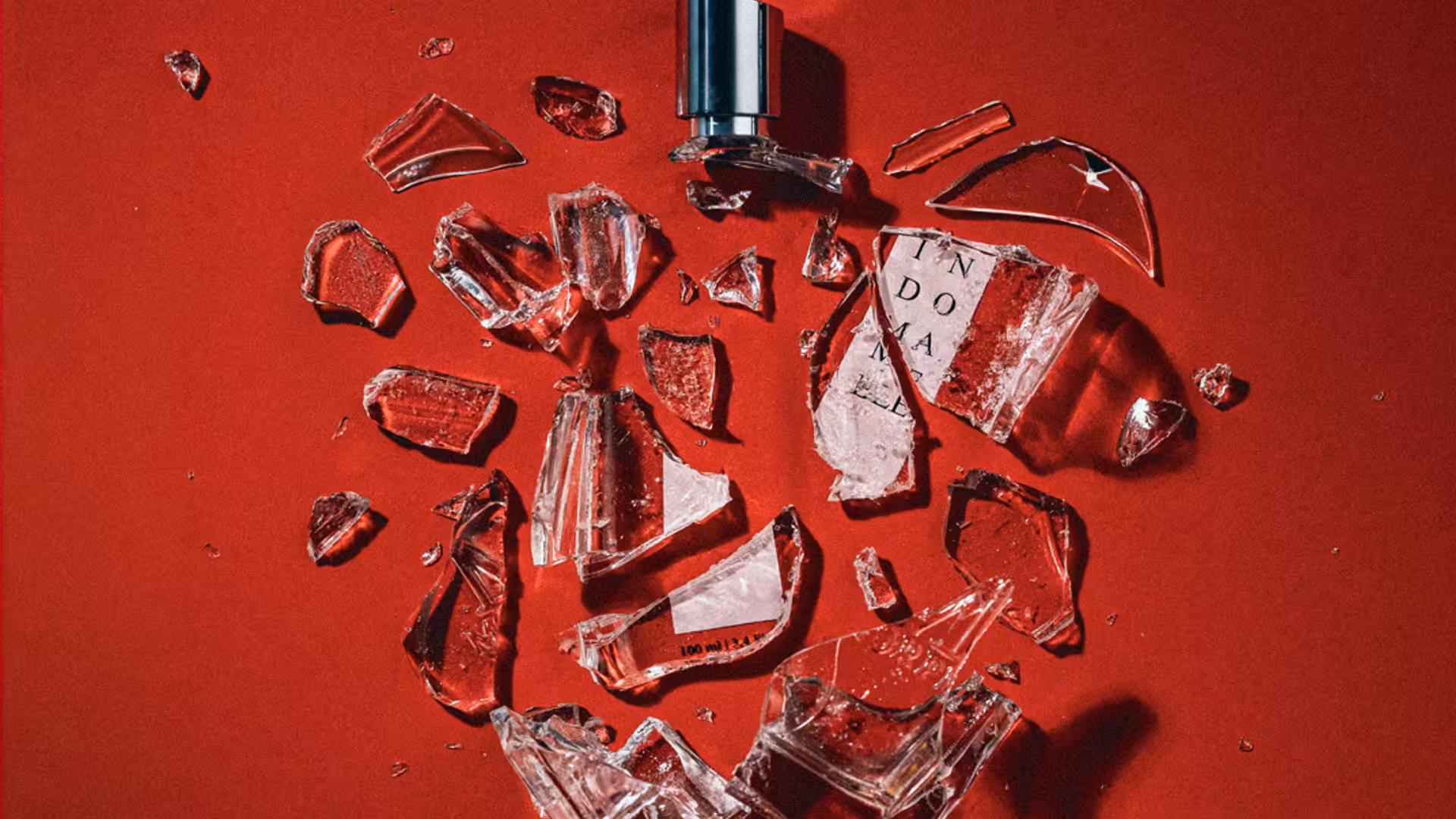 Campania Morph V Day 2026